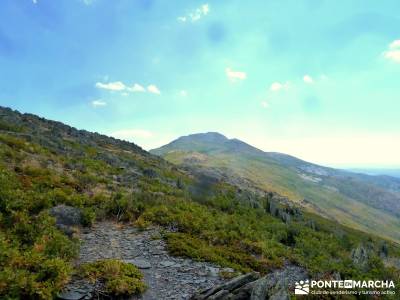 Ocejón - Sierra de Ayllón; viajes noviembre excursiones fin de semana rutas senderismo sierra de m